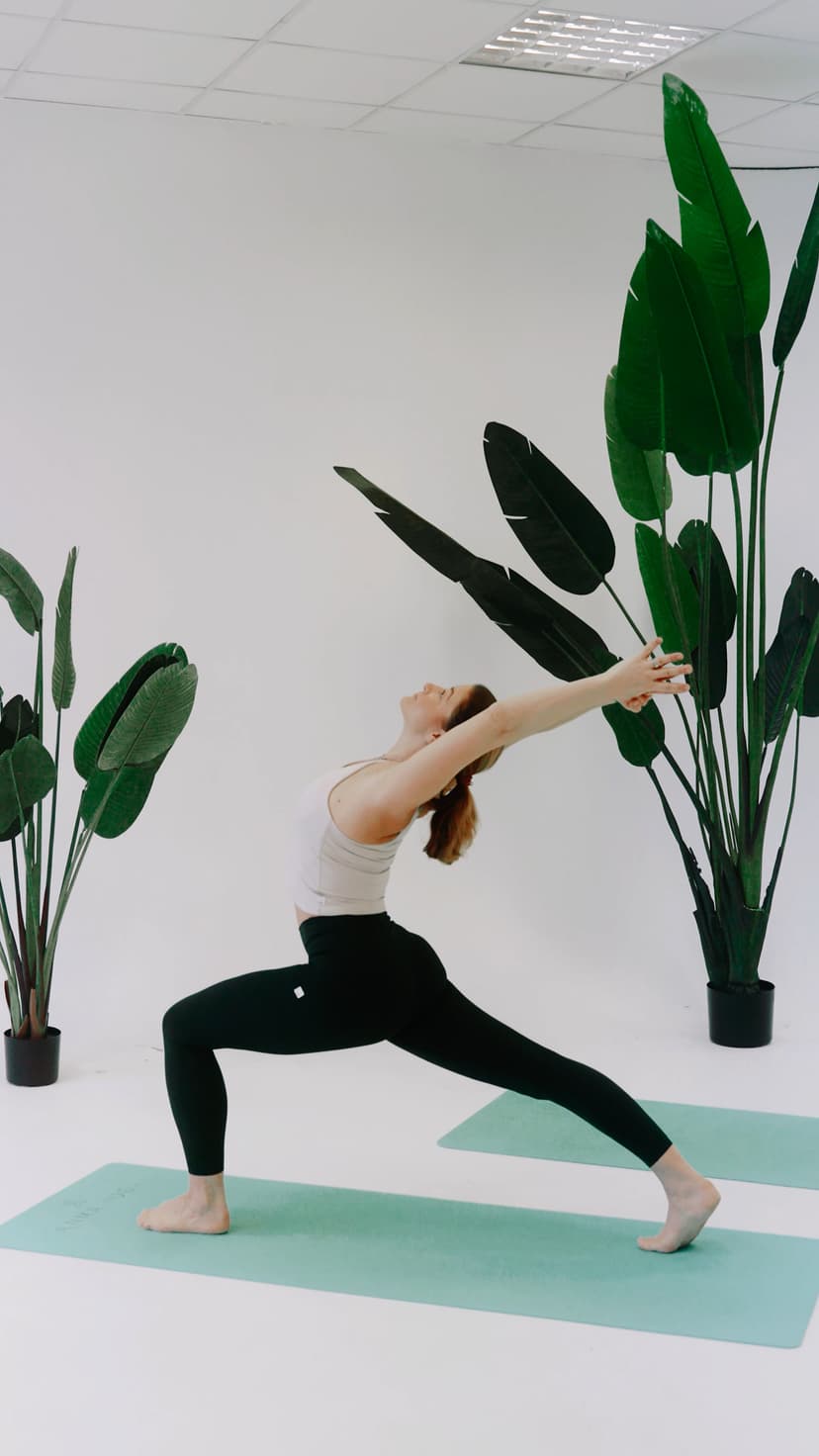 Joga (Vinyasa Flow)